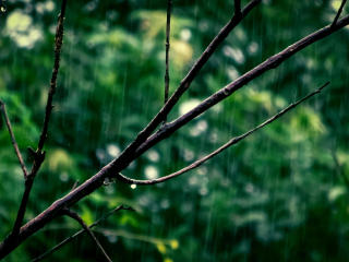 Webcam model GlitterOneTest-hot from XloveCam profile picture Webcam model GlitterOneTest-hot from XloveCam