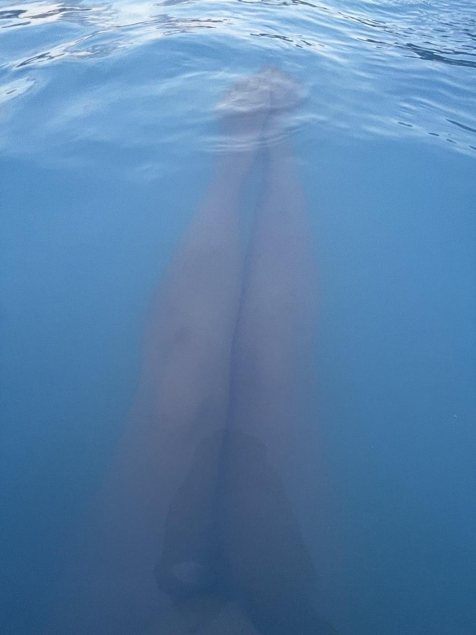 Image of cam model Sambucka from XloveCam