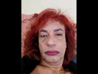 BrunelaSwanLive Webcam