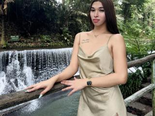 Magesticcock-hot Live-Cam auf XLoveCam