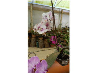 Photo de VaaleryStark