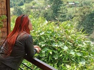 ManuelaTompson Hot Liveshows - Photo 763/1043