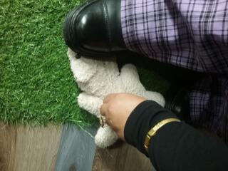 Photo de EskelaTheHuntress