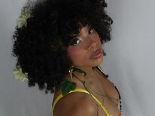 Ravenlee Image Gallery