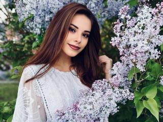 DanaSmile Image Gallery