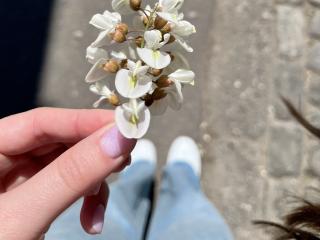 Photo de VeronikaSoul