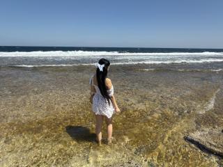 BeautyCoral Image Gallery