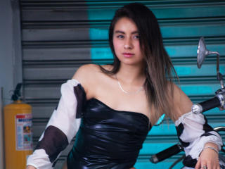 EymyFox Image Gallery