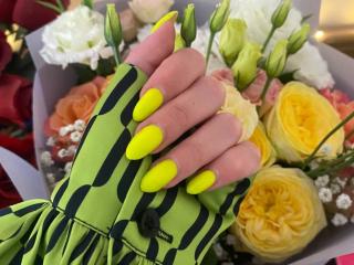AlicePrings Image Gallery