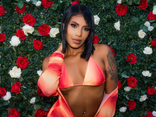 LaylaJones Anal Livecam - Photo 7/21