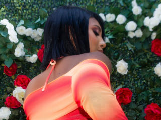 LaylaJones Image Gallery