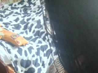 LilliDoris Image Gallery