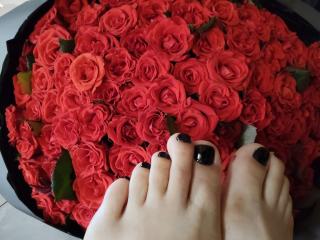 Nurri Image Gallery