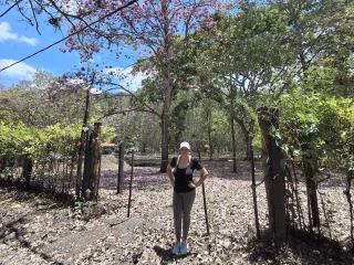 Photo de katherinLatin