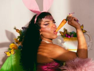 VioletHotX Image Gallery