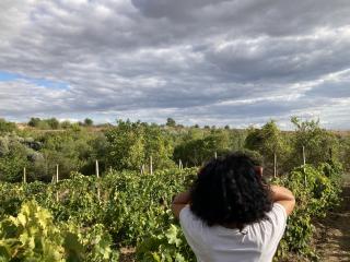 Photo de DeesseBleue