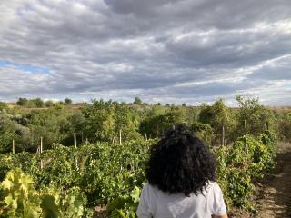 Photo de DeesseBleue