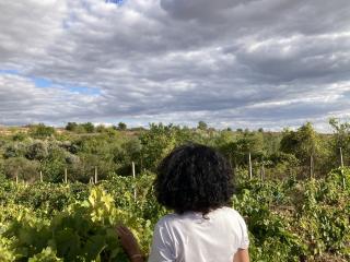 Photo de DeesseBleue