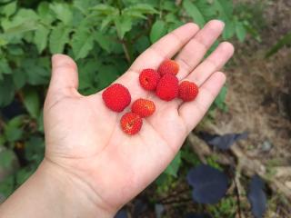 EskelaTheHuntress Boobs Liveshow - Photo 15/21