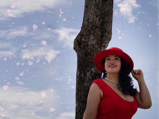 AlisGourmande Image Gallery