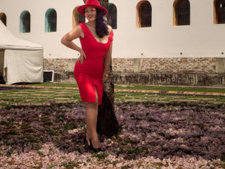 AlisGourmande Image Gallery