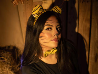 DorothyLane Image Gallery