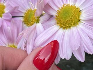 Euphorias Boobs Liveshow - Photo 10/21