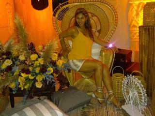 BrigiteWalsh Image Gallery