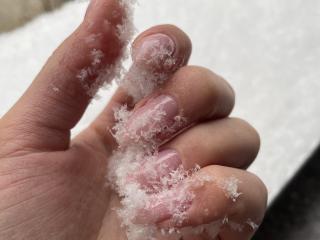 Euphorias Image Gallery