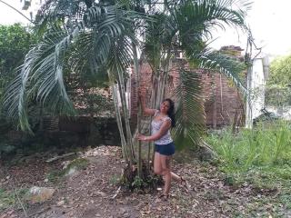 PauletteLoveX Hardcore Fuck Direct - Photo 8/21