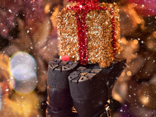 Photo de RoseNichols