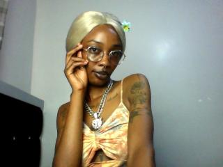 Veegee Image Gallery