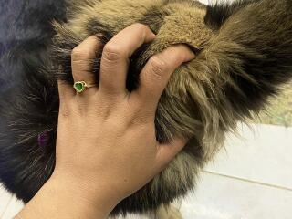 SophieSonyas Blowjob XXX Cams - Photo 16/21