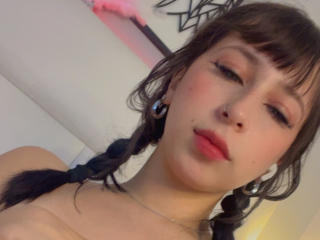 DaliaCastle Image Gallery