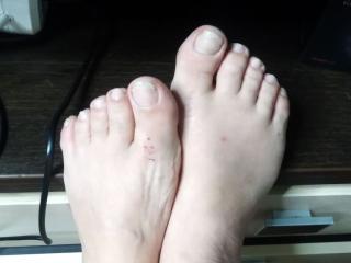 IllusionGold Chatte en Chaleur - Photo 8/21