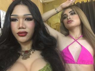 Photo of WildsCockTrans