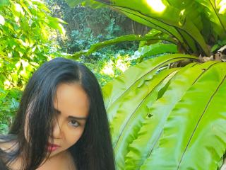 Photo of Lotusblume-hot