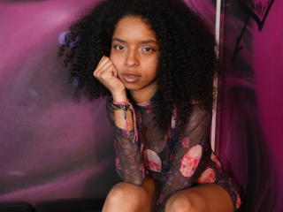 RihaLion Image Gallery