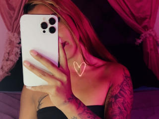 NicolForest Image Gallery