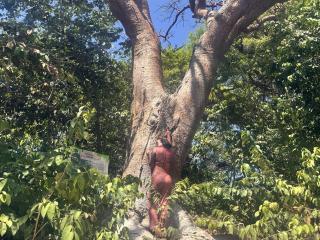 Photo de HannaBorbon