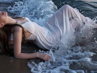 Diantrisy Image Gallery