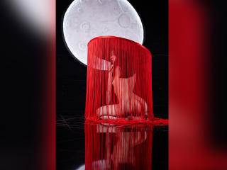 Vickmon photo
