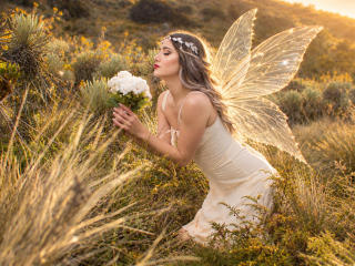 StarDustt Image Gallery
