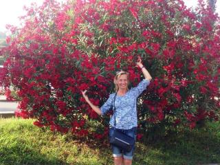 SilviaMarlow - Live porn & sex cam - 3331999