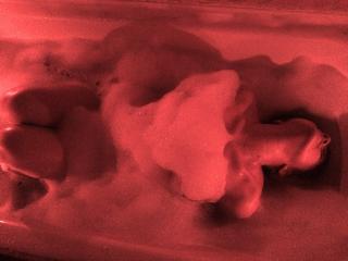 SpicyGrace - Live sex cam - 5128652