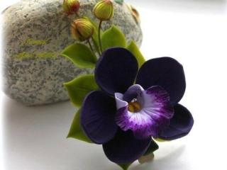 Photo de AmethystCharm